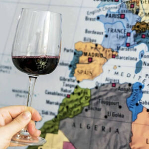 Wine Export from South Africa